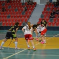 Semifinále: FBC Ossiko Třinec - FBŠ SLAVIA Plzeň 7:1
